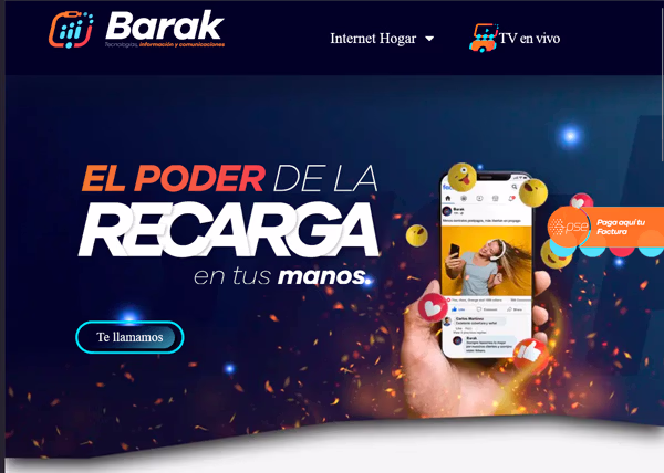 Diseño Web Coherente Sitio web implementando los colores y tipografías del manual de marca